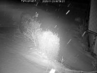 2025.11.25 06-36-25.jpg